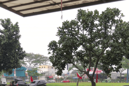 Kaca film Masterpiece